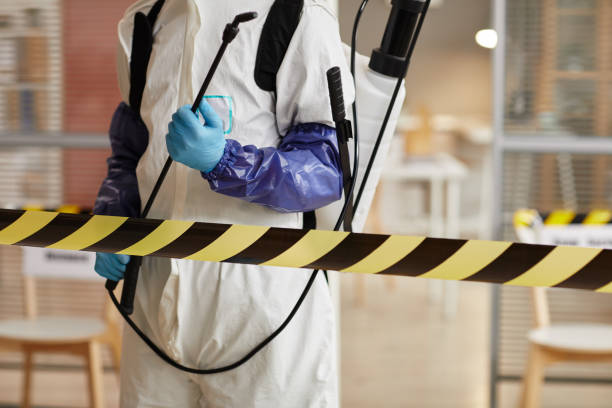 Professional Hoarding Cleanup technician working in Louviers, CO